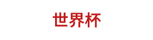 世界杯 Logo